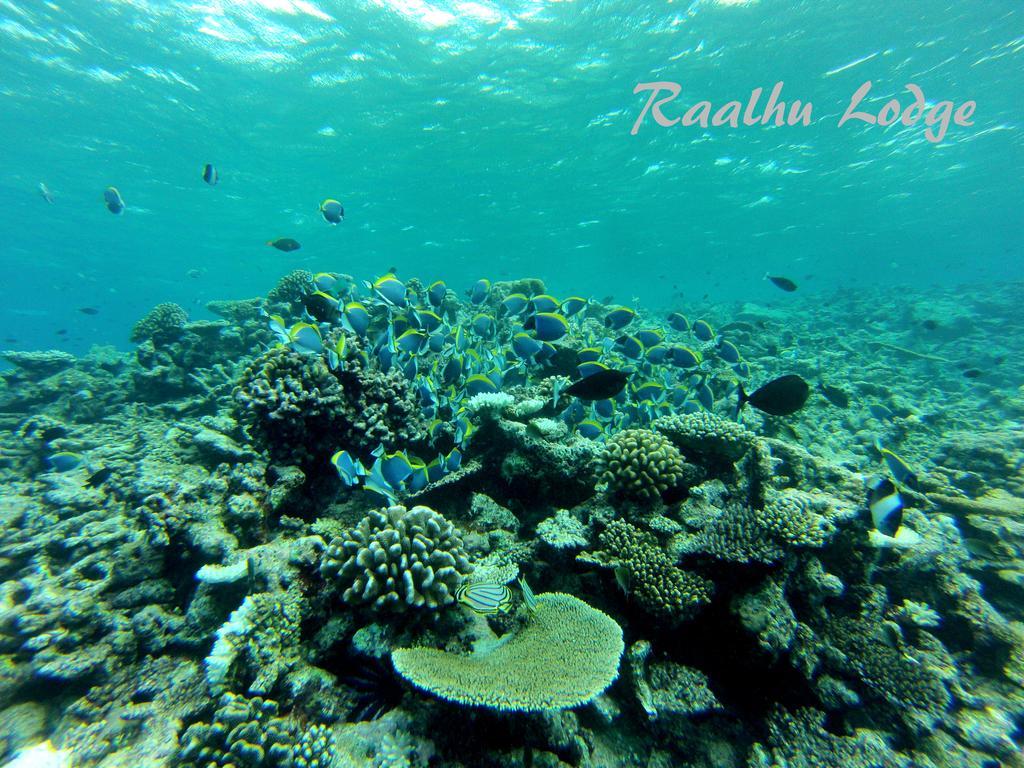 Raalhu Lodge Himmafushi Esterno foto